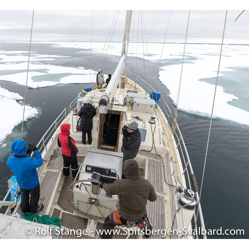 WE STRUCK ICE!! ARE WE SINKING?!