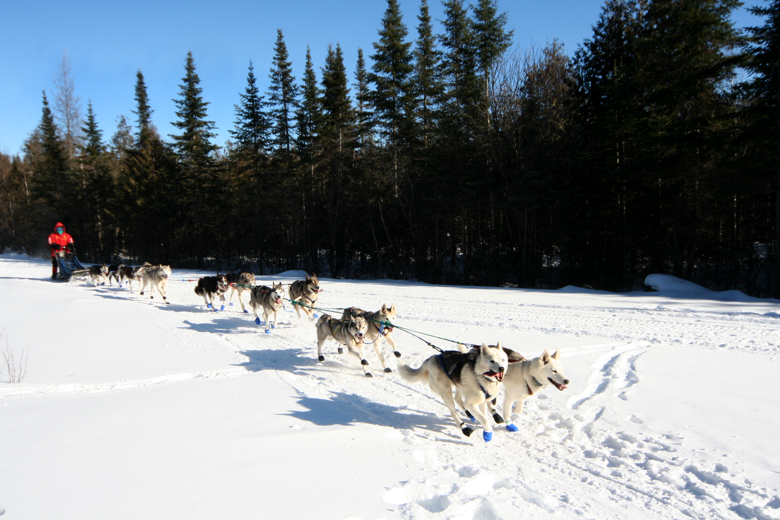 Letters from a Musher: The UP200 2018