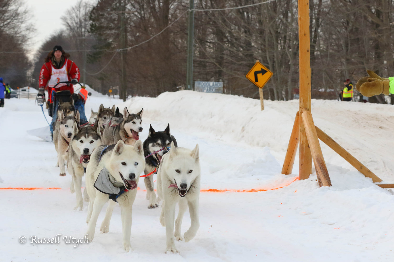 Letters From a Musher: My Unexpected Leaders