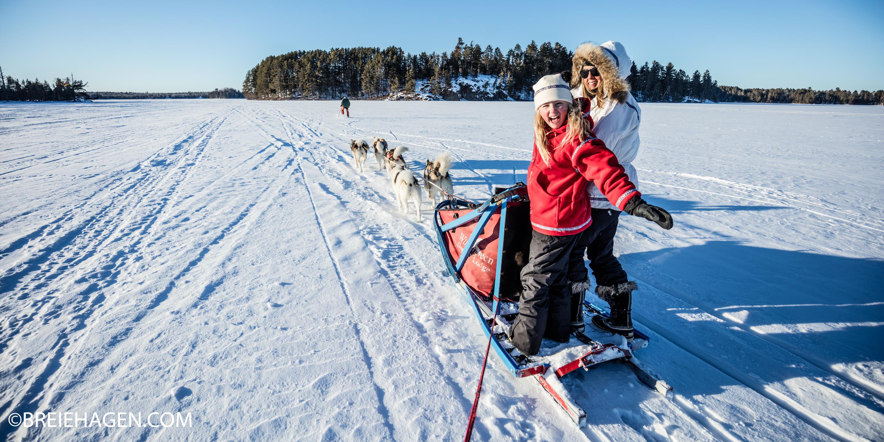 Dogsledding Goods